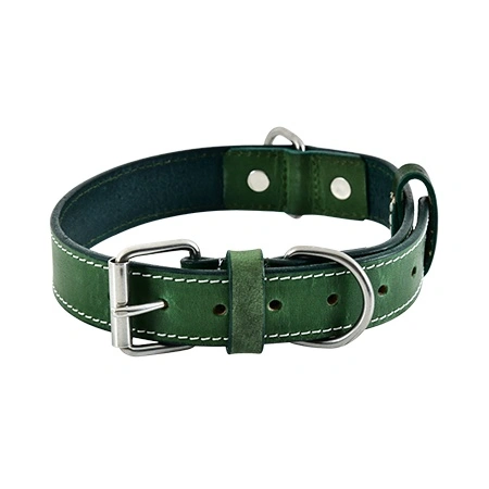 Pet Collar Product Photoshoot